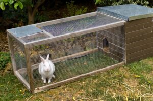 Zelf je konijnenhok maken 5 voorbeelden van DIY konijnenhokken