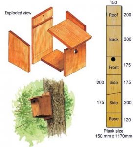 Ideale plank voor vogelhuis - bto.org