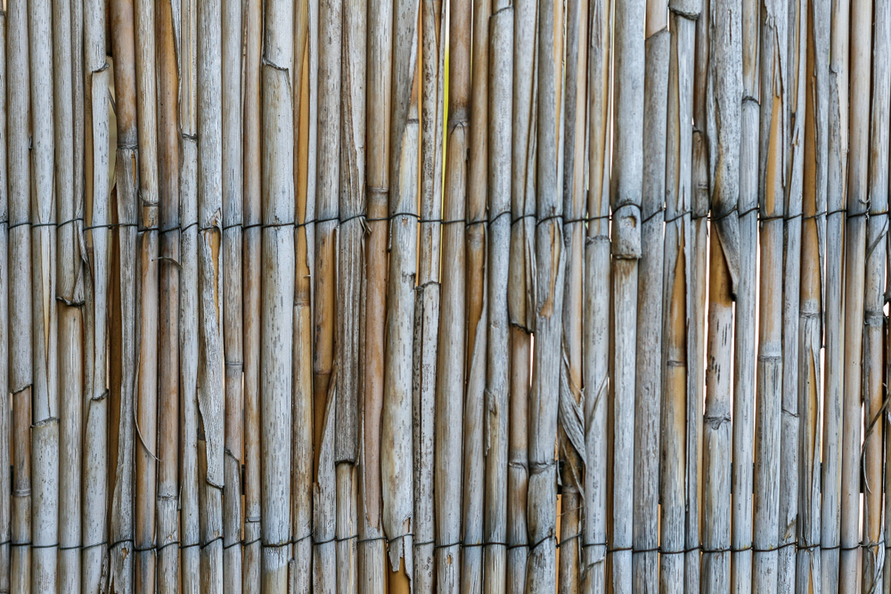 Bamboe omheining