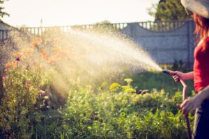 5 Tips bij het besproeien van je tuin met een tuinslang